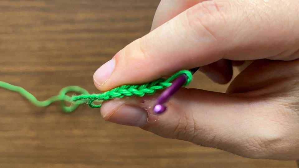 Crocheting the Magic Ring - step 9 Crocheting the Magic Ring - step 9