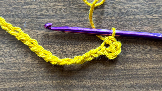 Step 2 of how to crochet the moss stitch