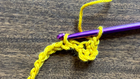 Step 3 of how to crochet the moss stitch
