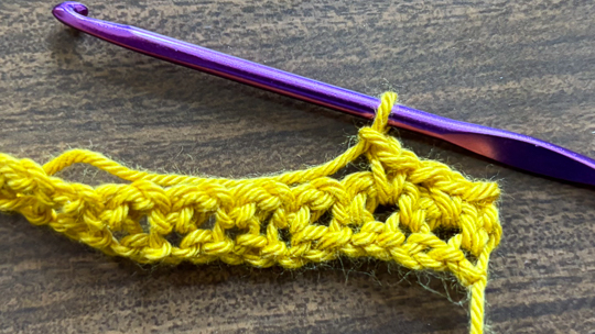 Step 7 of how to crochet the moss stitch